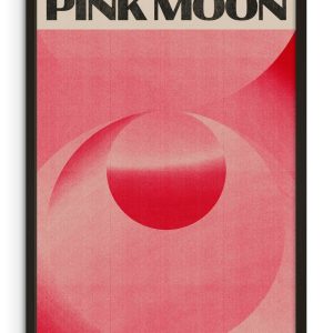 Pink Moon